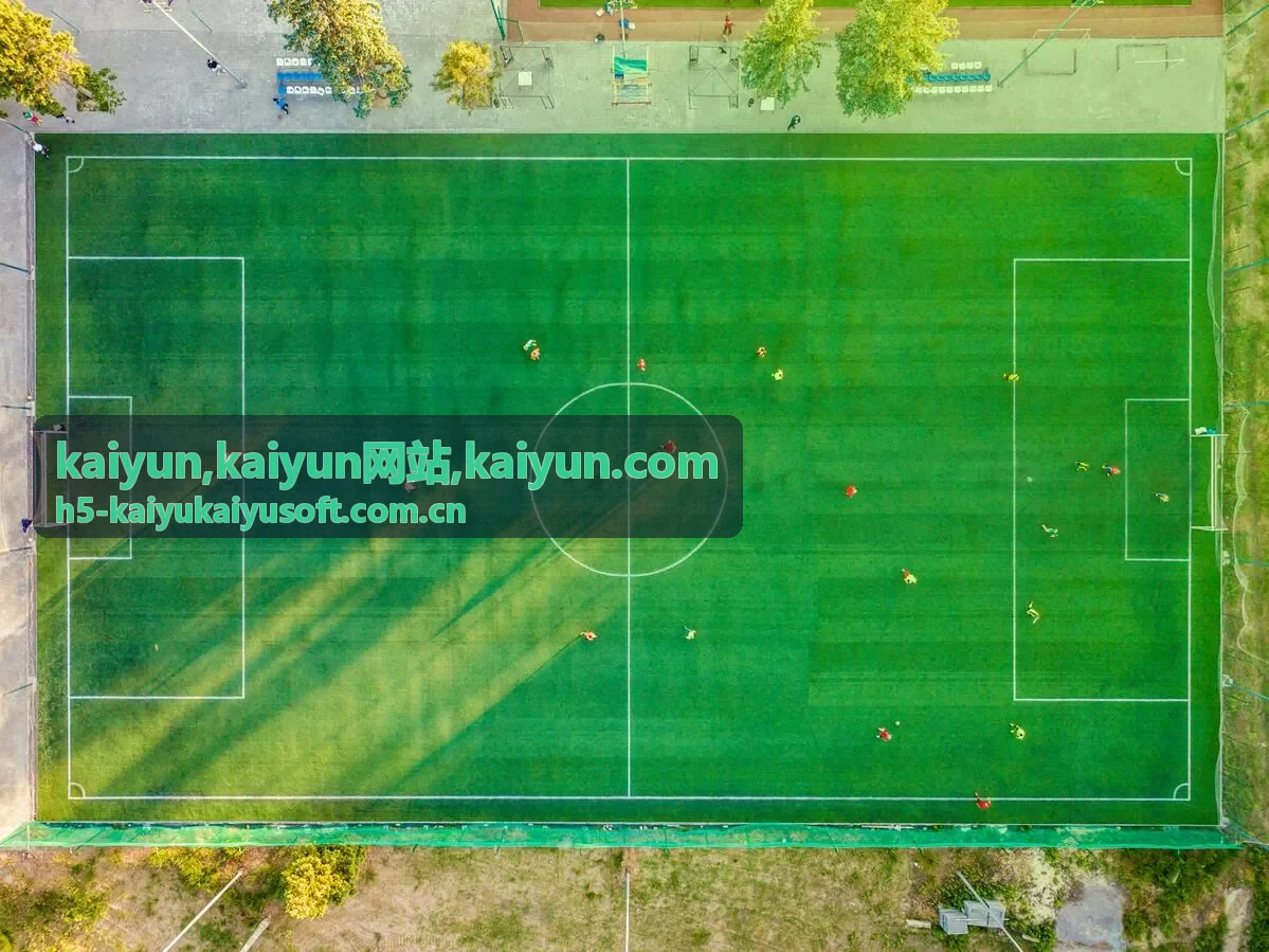 kaiyun网站咨询与页面规划服务展示
